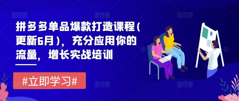 拼多多单品爆款打造课程(更新6月)，充分应用你的流量，增长实战培训-179创客网