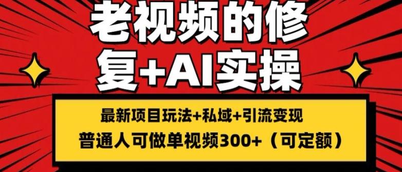 修复老视频的玩法，搬砖+引流的变现(可持久)，单条收益300+【揭秘】-179创客网