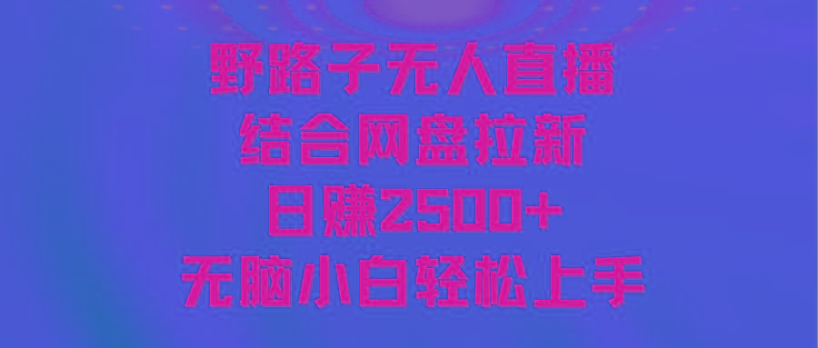 无人直播野路子结合网盘拉新，日赚2500+多平台变现，小白无脑轻松上手操作-网创资源