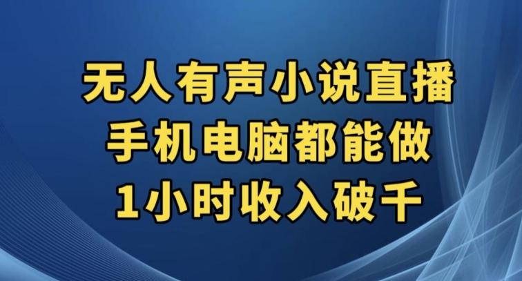 抖音无人有声小说直播，手机电脑都能做，1小时收入破千【揭秘】-179创客网