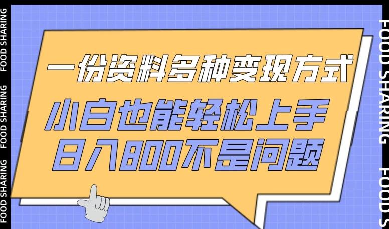 一份资料多种变现方式，小白也能轻松上手，日入800不是问题【揭秘】-179创客网