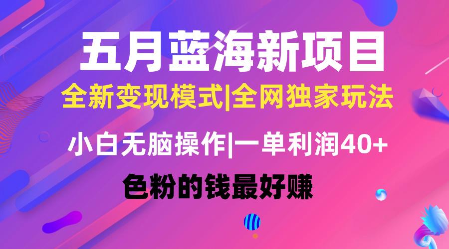 五月蓝海项目全新玩法，小白无脑操作，一天几分钟，矩阵操作，月入4万+-179创客网