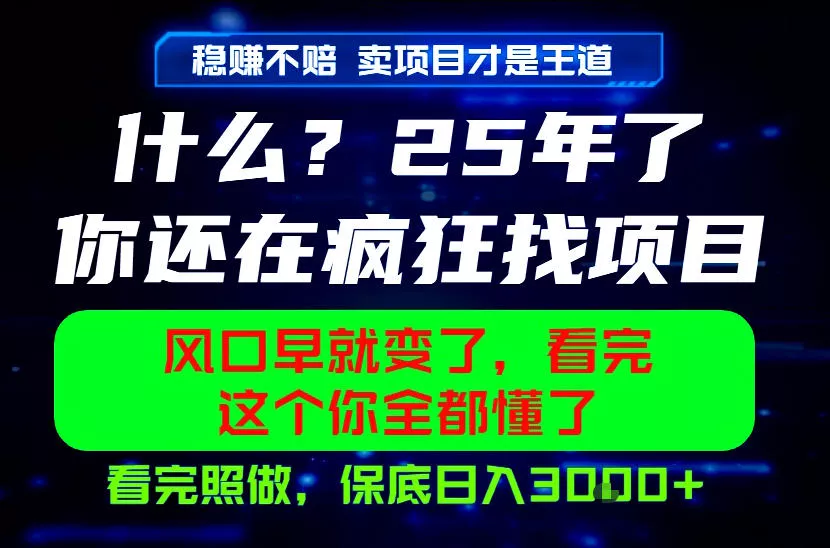 26年，请不要疯狂的找项目做了！卖项目才是真的稳賺不赔，看完照做，保底日入1k+【揭秘】-179创客网