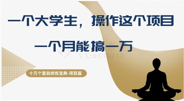 十万个富翁修炼宝典之4.一个大学生操作这个项目，一个月能搞一万-179创客网