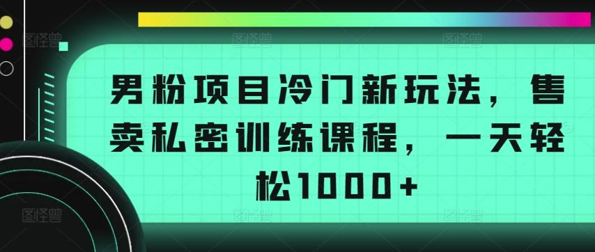 男粉项目冷门新玩法，售卖私密训练课程，一天轻松1000+【揭秘】-179创客网