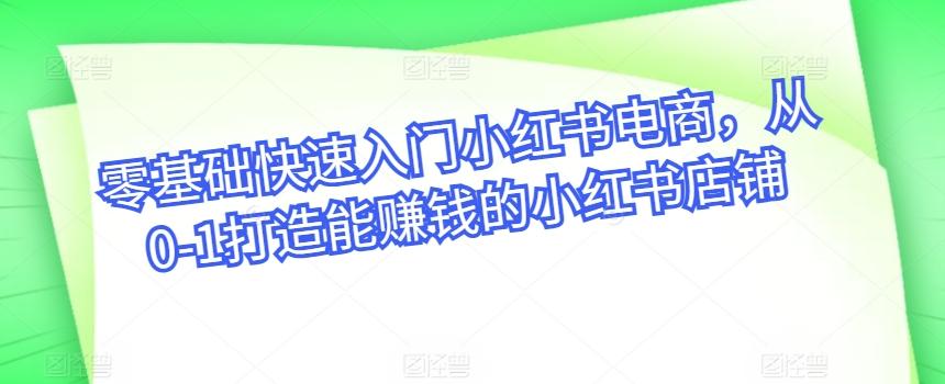 零基础快速入门小红书电商，从0-1打造能赚钱的小红书店铺-179创客网