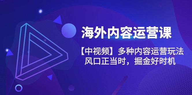 海外内容 运营课【中视频】多种内容运营玩法 风口正当时 掘金好时机-101节-179创客网
