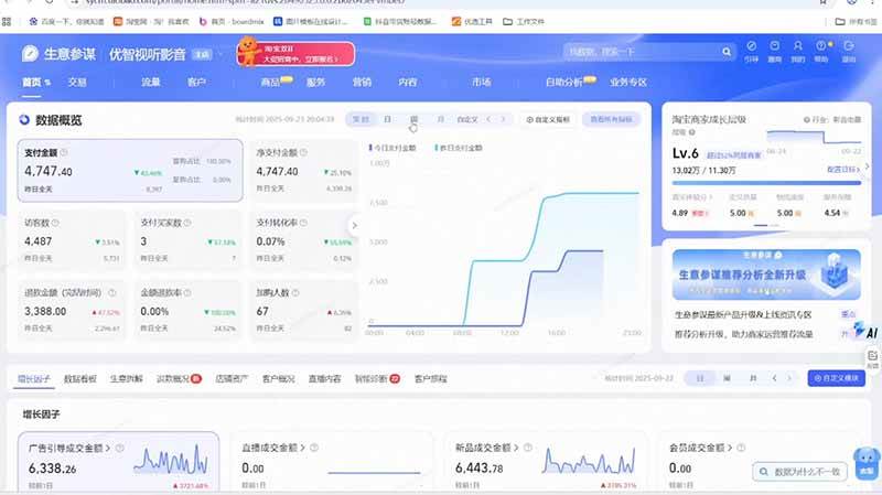（19974期）淘宝VIP特训课-更新：蓝海选品+付费投放｜短视频AI运营｜大促起爆全流程，破解店铺无流量无利润难题