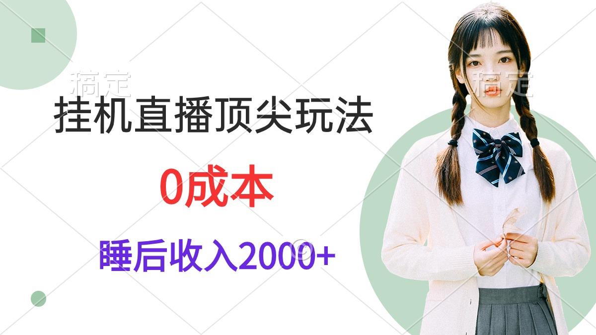 (9715期)挂机直播顶尖玩法，睡后日收入2000+、0成本，视频教学-179创客网