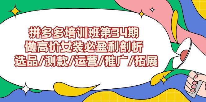 (9333期)拼多多培训班第34期：做高价女装必盈利剖析  选品/测款/运营/推广/拓展-179创客网