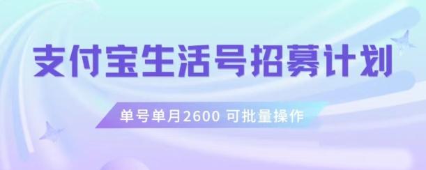 支付宝生活号作者招募计划，单号单月2600，可批量去做，工作室一人一个月轻松1w+【揭秘】-179创客网