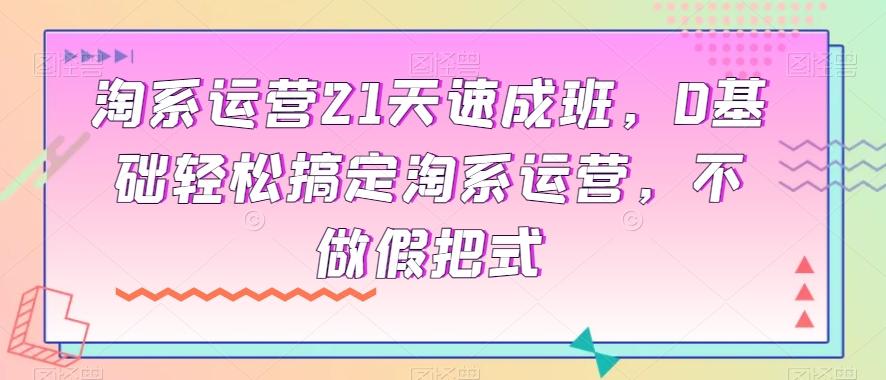 淘系运营21天速成班，0基础轻松搞定淘系运营，不做假把式-179创客网