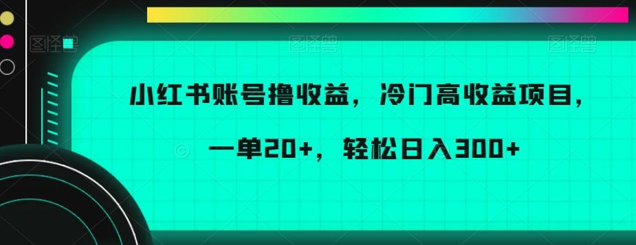 小红书账号撸收益，冷门高收益项目，一单20+，轻松日入300+【揭秘】-179创客网
