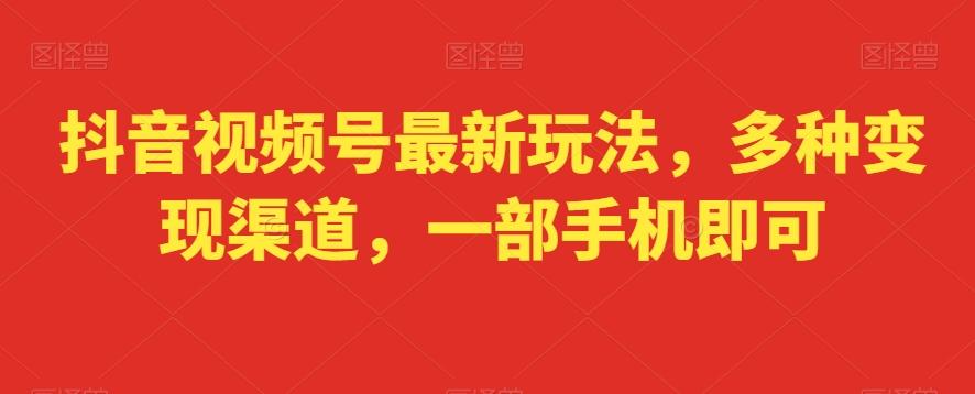 抖音视频号最新玩法，多种变现渠道，一部手机即可-179创客网