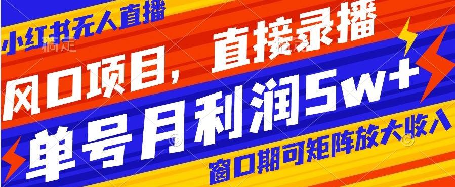 风口项目，小红书无人直播带货，直接录播，可矩阵，月入5w+【揭秘】-179创客网