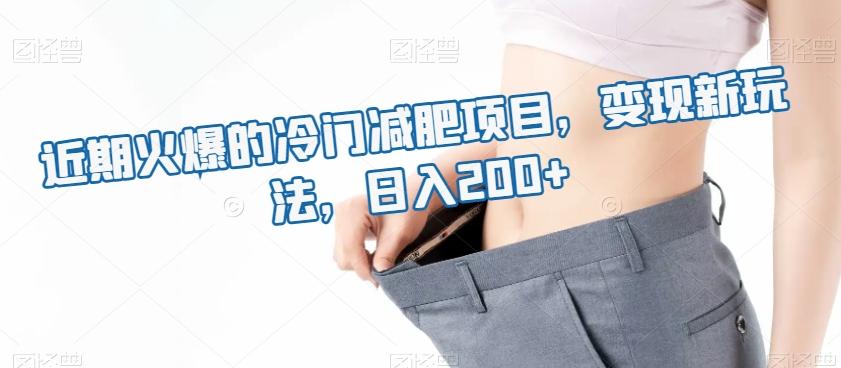 近期火爆的冷门减肥项目，变现新玩法，日入200+-179创客网