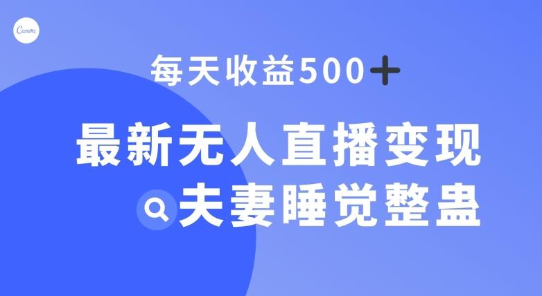 最新无人直播变现，夫妻睡觉整蛊，每天躺赚500+【揭秘】-179创客网