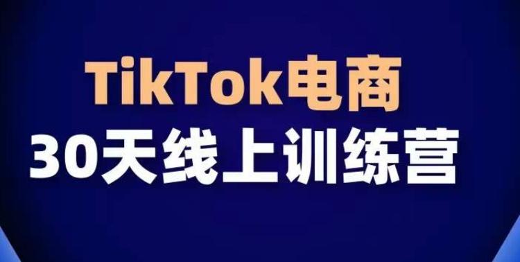 TikTok电商带货30天线上课，不可错过的全球流量洼地！-179创客网