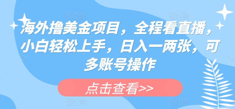 海外撸美金项目，全程看直播，小白轻松上手，日入一两张，可多账号操作【揭秘】-179创客网