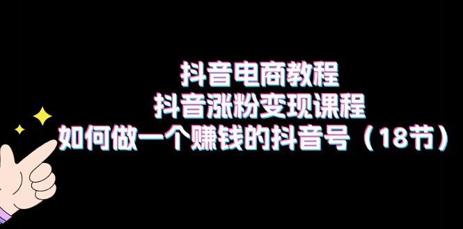 抖音电商教程：抖音涨粉变现课程：如何做一个赚钱的抖音号(18节-179创客网