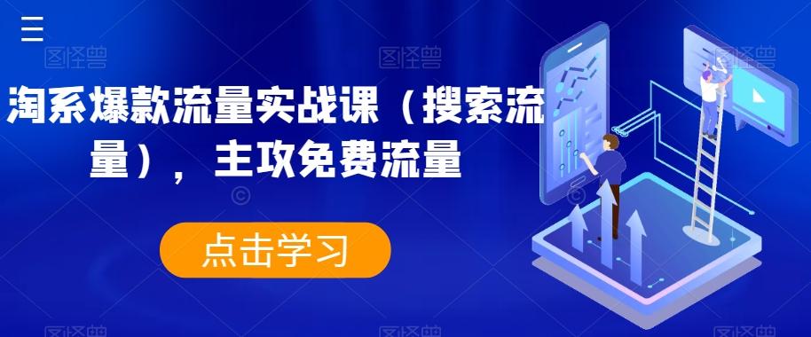 淘系爆款流量实战课（搜索流量），主攻免费流量-179创客网