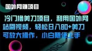 冷门撸美刀项目，利用国外网站刷视频，轻松日入80+美刀，可放大操作，小白随便上手-179创客网