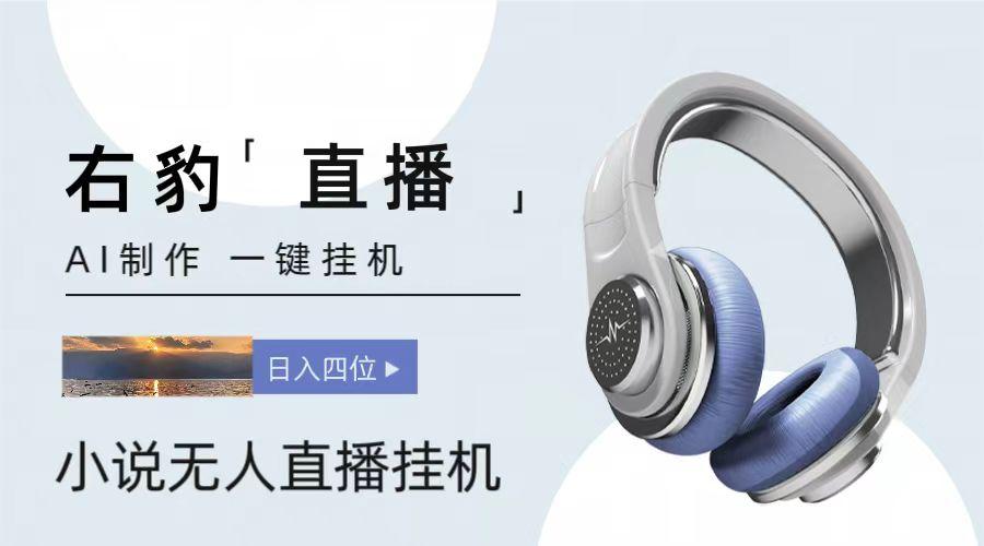 右豹小说无人直播挂机吸金项目，简单易行收益稳定， 月入1000+-179创客网