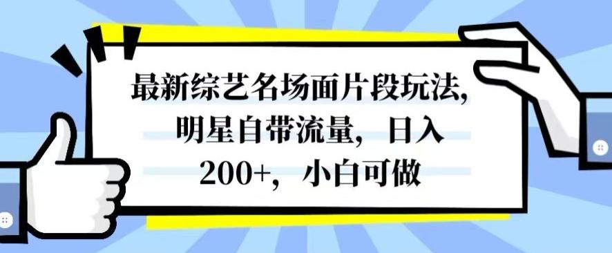 最新综艺名场面片段玩法，明星自带流量，日入200+，小白可做【揭秘】-网创资源