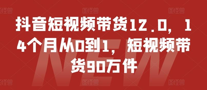 抖音短视频带货12.0，14个月从0到1，短视频带货90万件-179创客网