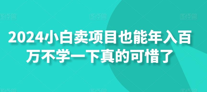 2024小白卖项目也能年入百万不学一下真的可惜了-179创客网