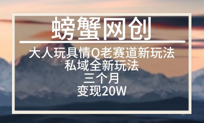 大人玩具情Q用品赛道私域全新玩法，三个月变现20W，老项目新思路【揭秘】-179创客网