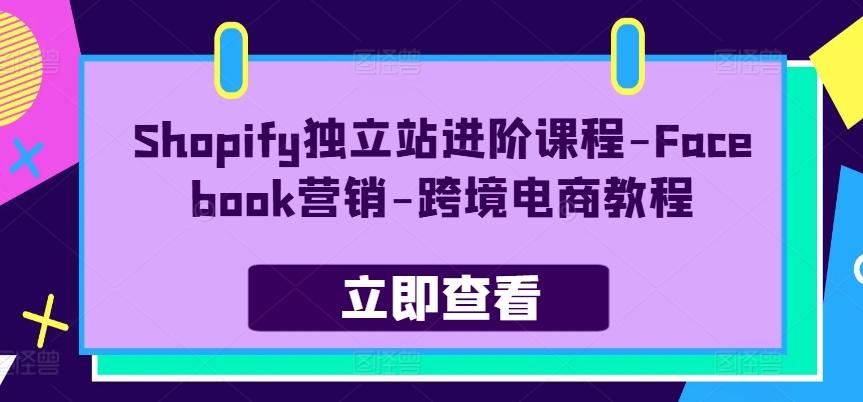 Shopify独立站进阶课程-Facebook营销-跨境电商教程-179创客网