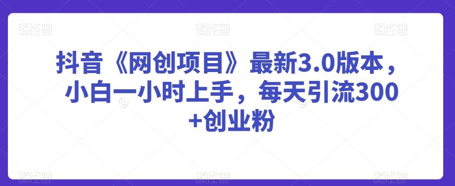 抖音《网创项目》最新3.0版本，小白一小时上手，每天引流300+创业粉【揭秘】-179创客网