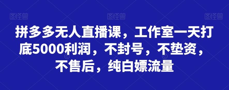 拼多多无人直播课，工作室一天打底5000利润，不封号，不垫资，不售后，纯白嫖流量-179创客网
