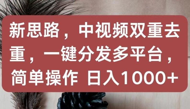 新思路，中视频双重去重，一键分发多平台，简单操作，日入1000+【揭秘】-179创客网
