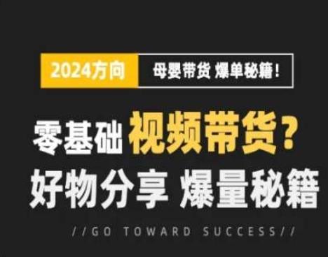 短视频母婴赛道实操流量训练营，零基础视频带货，好物分享，爆量秘籍-179创客网
