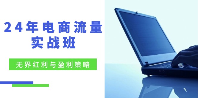 24年电商流量实战班：无界 红利与盈利策略，终极提升/关键词优化/精准…-179创客网