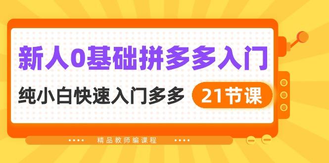 新人0基础拼多多入门，​纯小白快速入门多多(21节课-179创客网