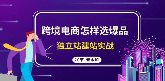 (9369期)跨境电商怎样选爆品，独立站建站实战(20节高清无水印课)-179创客网