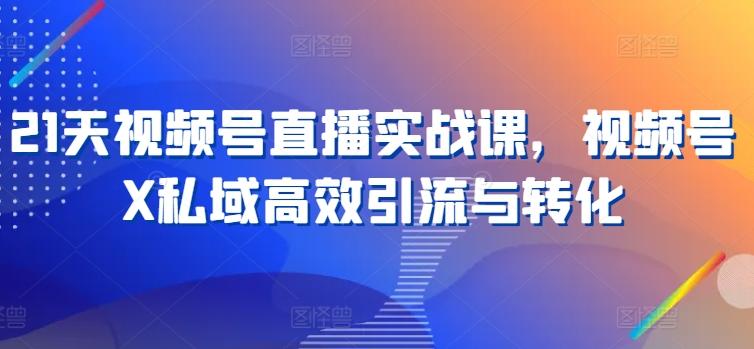 21天视频号直播实战课，视频号X私域高效引流与转化-179创客网