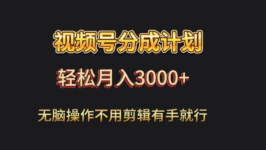 视频号流量分成，不用剪辑，有手就行，轻松月入2000+-179创客网