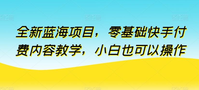 全新蓝海项目，零基础快手付费内容教学，小白也可以操作【揭秘】-179创客网