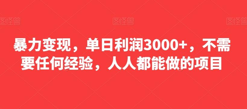 暴力变现，单日利润3000+，不需要任何经验，人人都能做的项目-179创客网