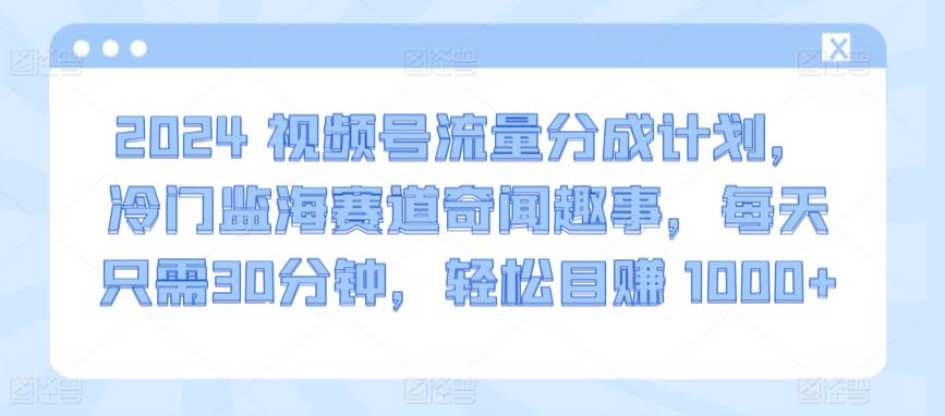 2024视频号流量分成计划，冷门监海赛道奇闻趣事，每天只需30分钟，轻松目赚 1000+【揭秘】-179创客网