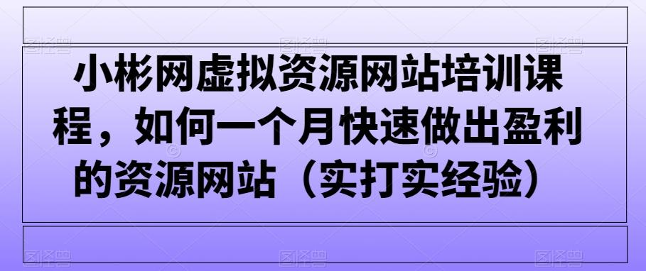 小彬网虚拟资源网站培训课程，如何一个月快速做出盈利的资源网站(实打实经验)-179创客网