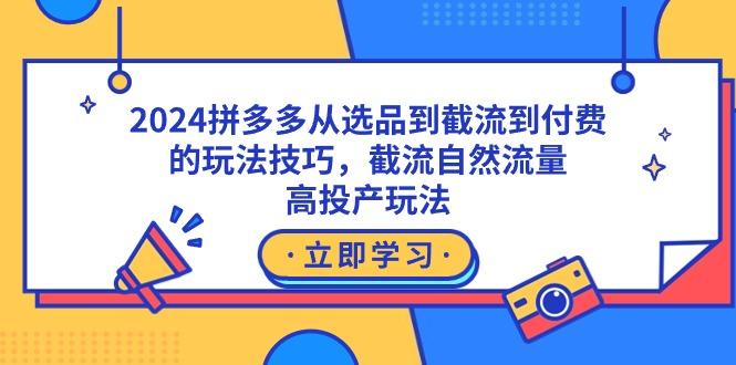 2024拼多多从选品到截流到付费的玩法技巧，截流自然流量玩法，高投产玩法-网创资源
