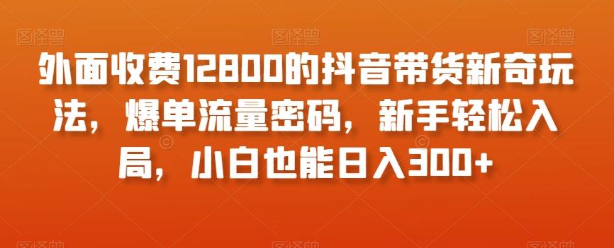 外面收费12800的抖音带货新奇玩法，爆单流量密码，新手轻松入局，小白也能日入300+【揭秘】-179创客网