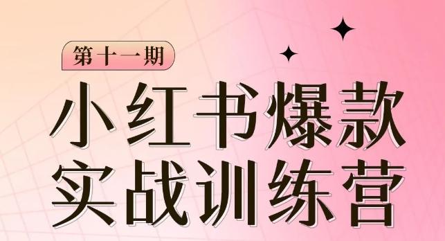 小红书博主爆款训练营第11期，手把手教你从0-1做小红书，从定位到起号到变现-179创客网