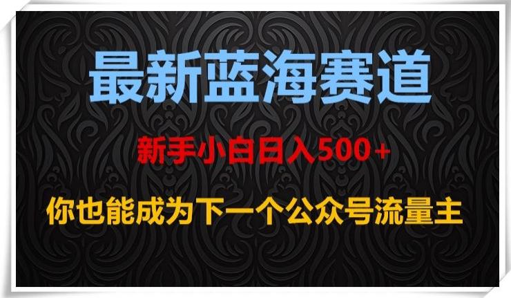 最新蓝海赛道，新手小白日入500+，你也能成为下一个公众号流量主【揭秘】-179创客网