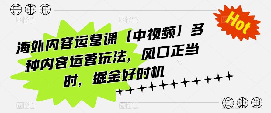 海外内容运营课【中视频】多种内容运营玩法，风口正当时，掘金好时机-179创客网